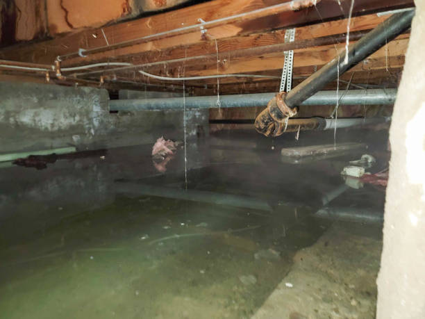 Best Water damage restoration near me  in Cathcart, WA
