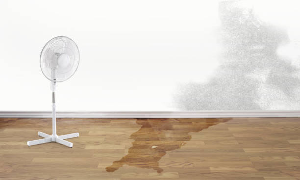 Best Residential water damage restoration  in Cathcart, WA