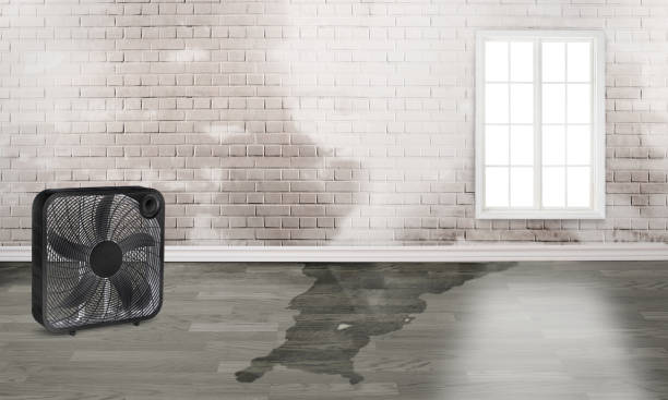 Best Carpet water damage restoration  in Cathcart, WA