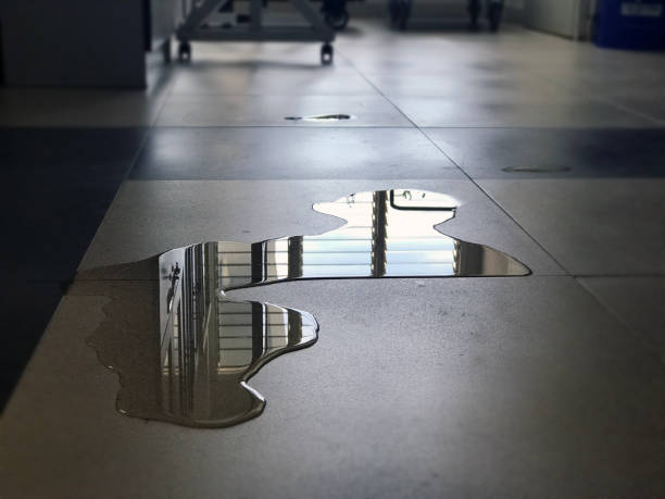 Best Professional water damage repair  in Cathcart, WA