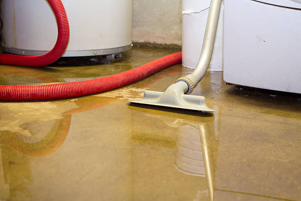 Best Basement water damage restoration  in Cathcart, WA