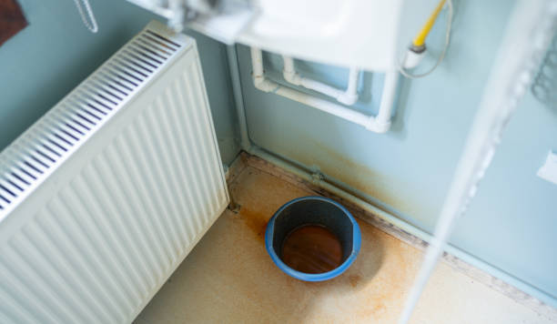 Best Flood damage cleanup  in Cathcart, WA
