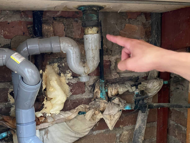 Best Water damage cleanup near me  in Cathcart, WA