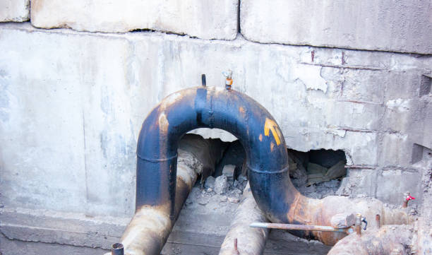 Best Water damage restoration near me  in Cathcart, WA